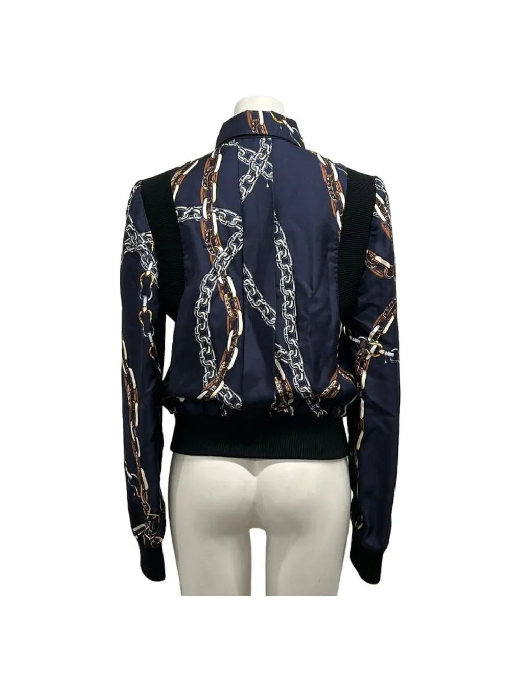 Louis Vuitton category blouson